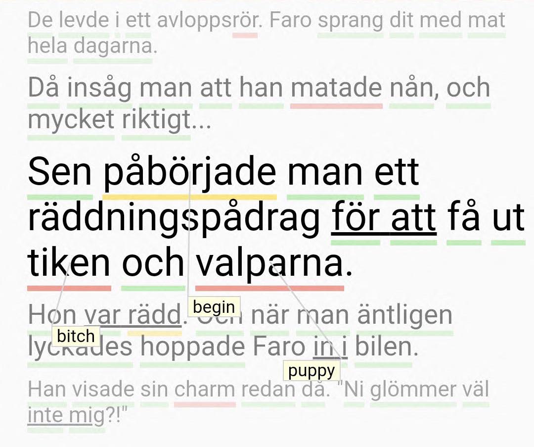 Screenshot from Språkkraft App